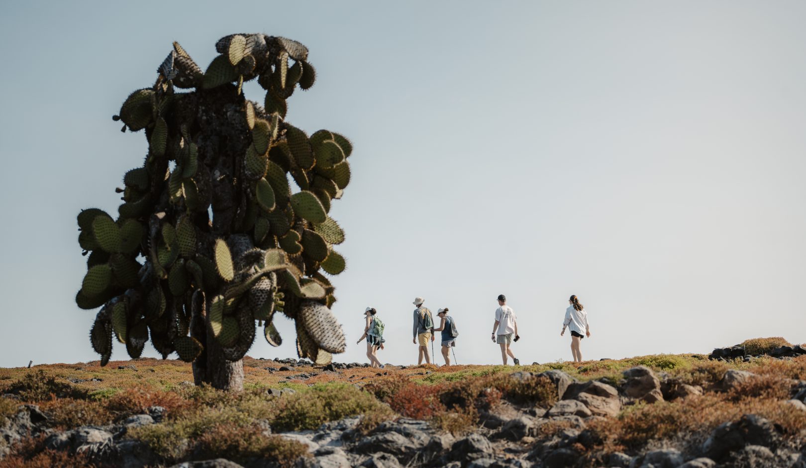 Guide with travelers in the Galapagos