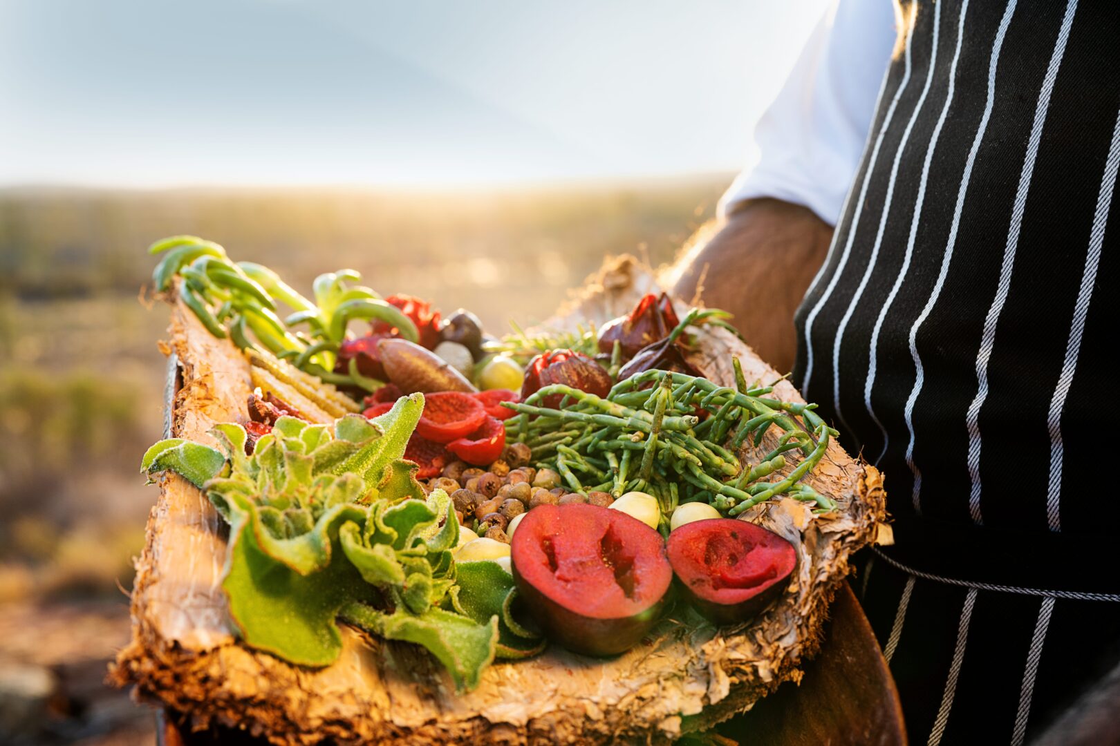 luxury vacation packages: Aboriginal cuisine in the Australian Outback