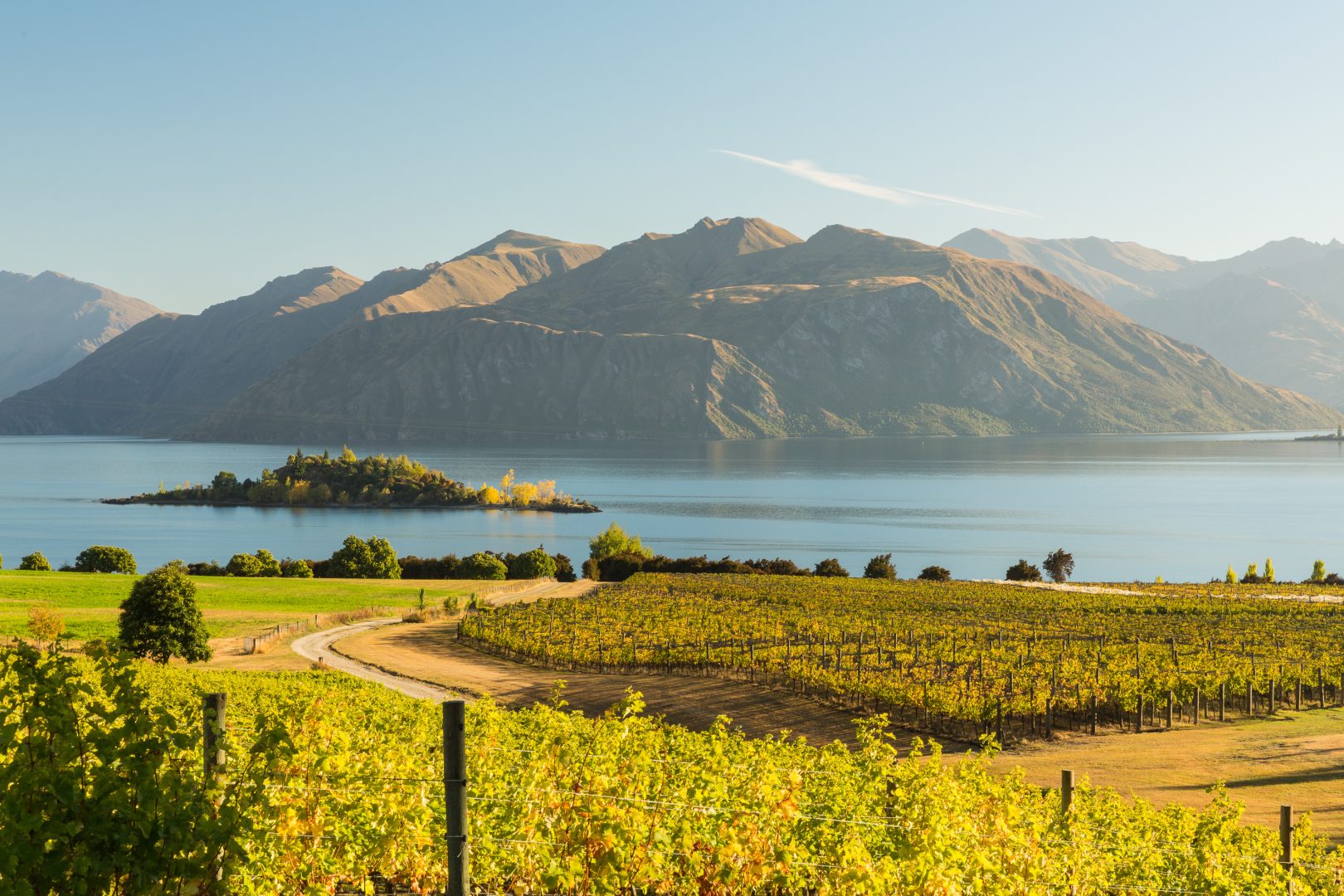 A winery in Wanaka, New Zealand