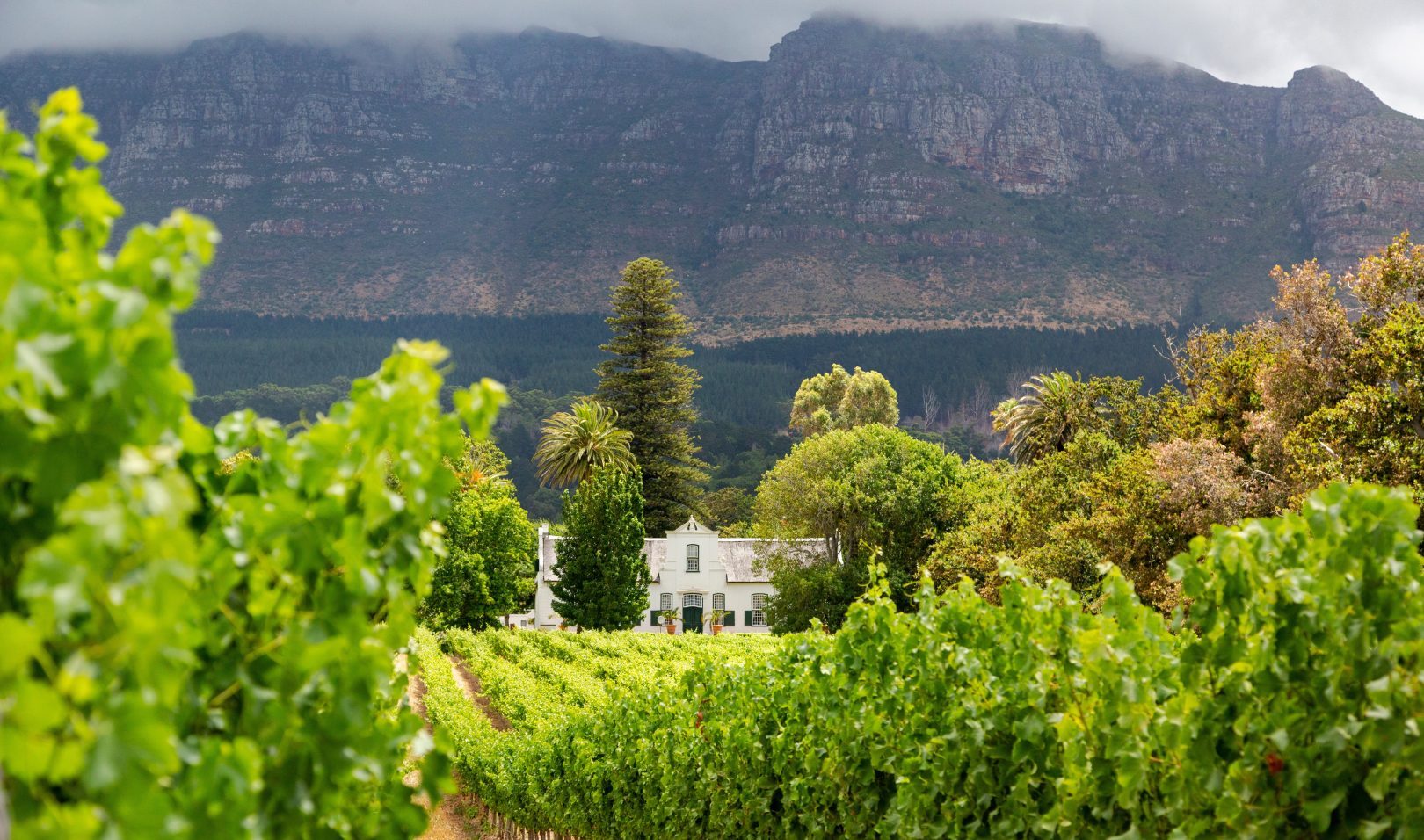 A winery in Groot Constantia, Cape Town, South Africa
