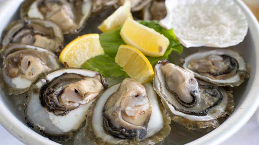 Oysters in Croatia