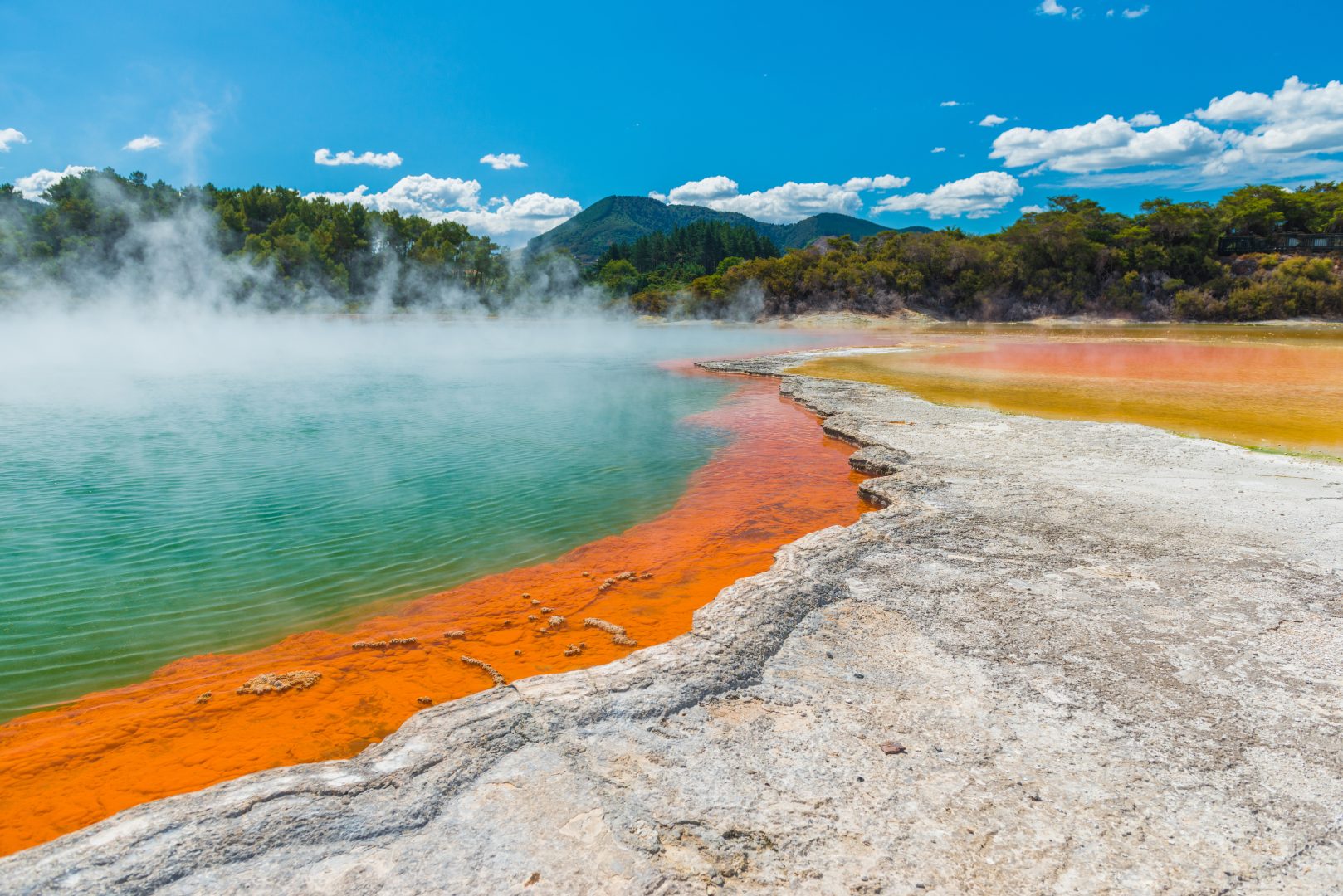 Rotorua hot springs and geothermal area