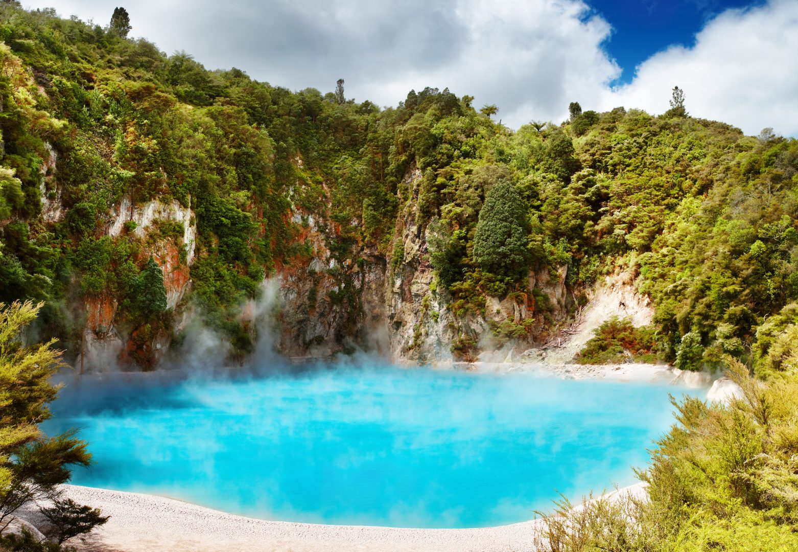 Rotorua hot springs and geothermal area