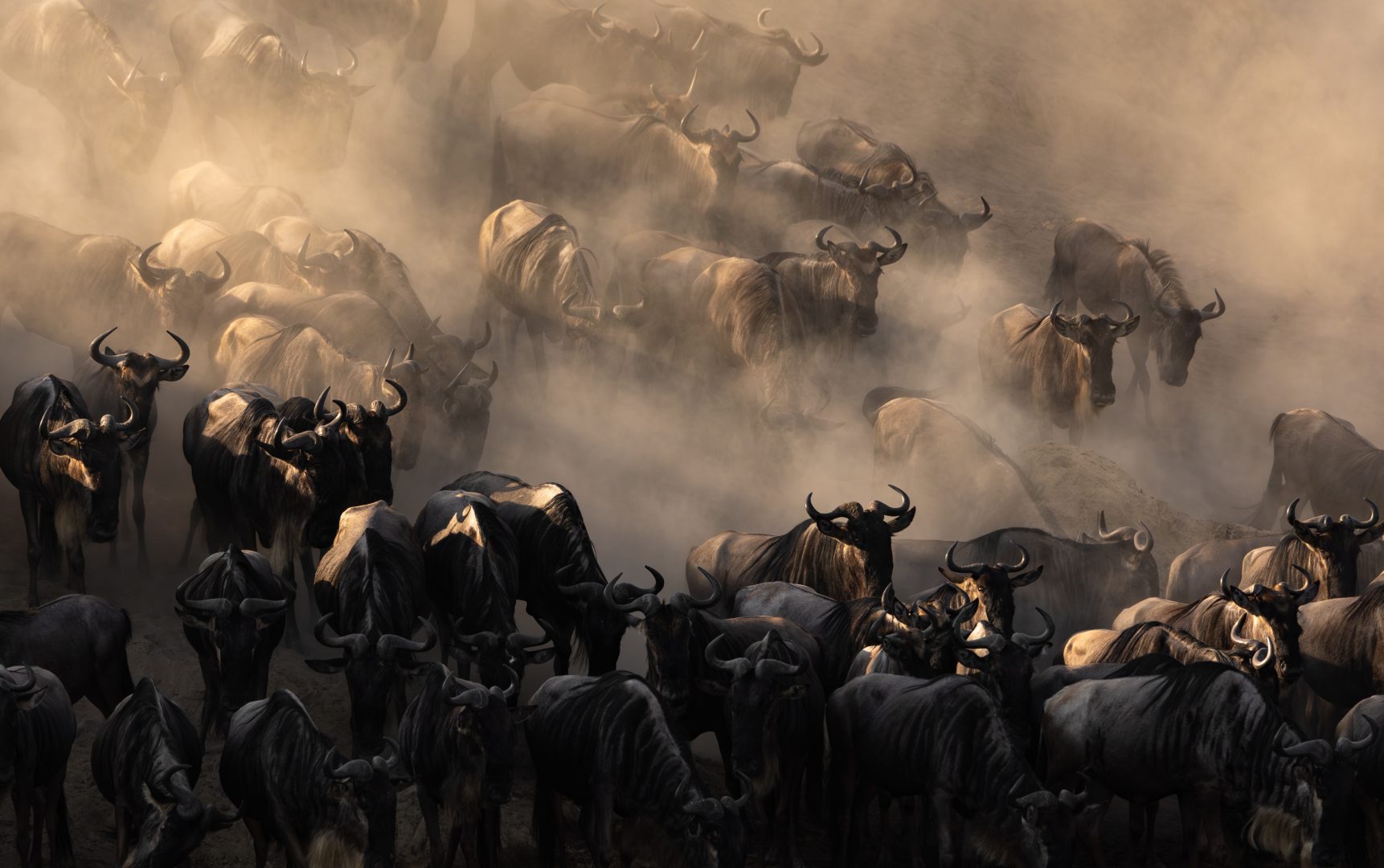 The Great Migration in Kenya/Tanzania