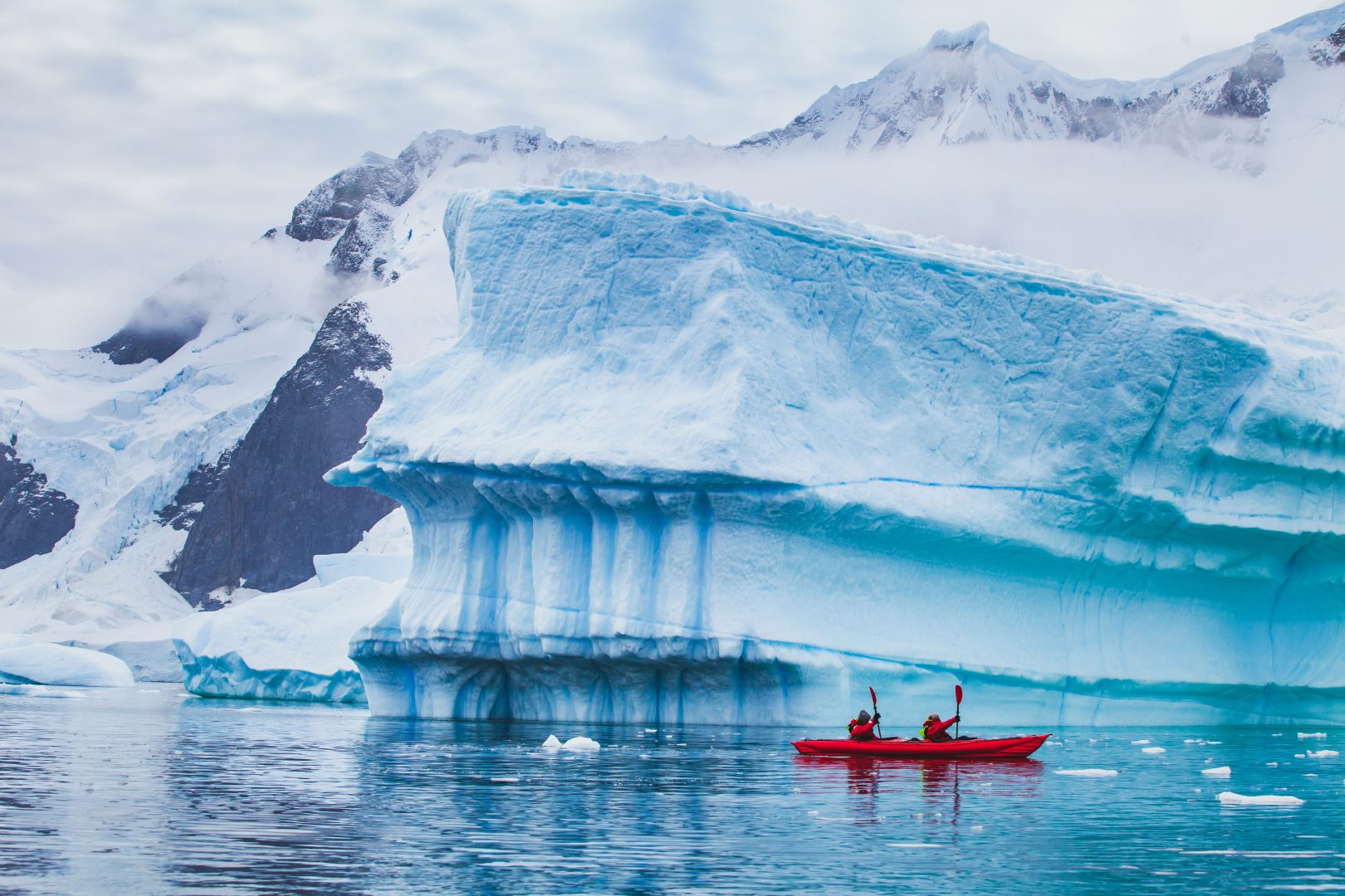 tourists kayaking in Antarctica
