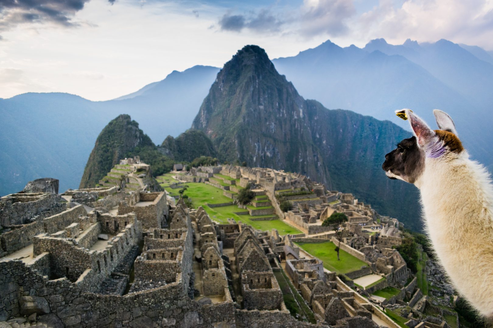 Machu Picchu and the Amazon