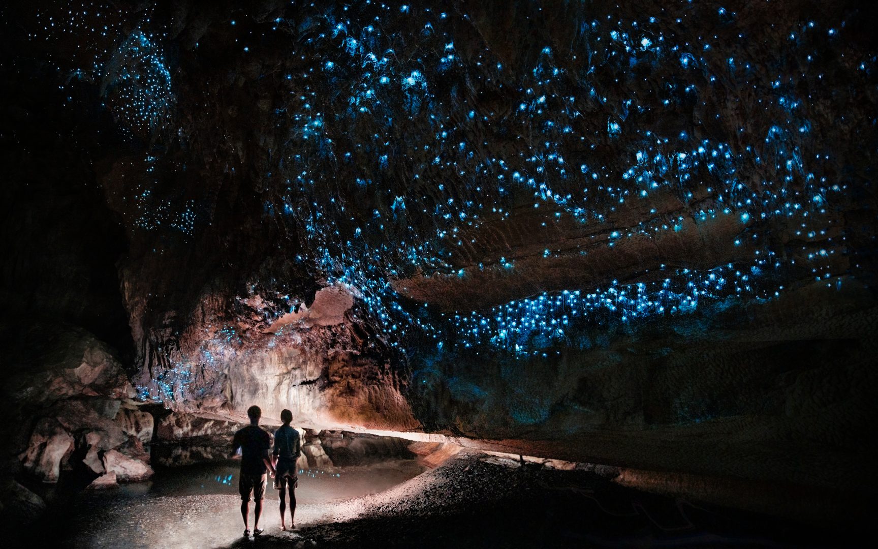 Rotorua glowworm caves, New Zealand