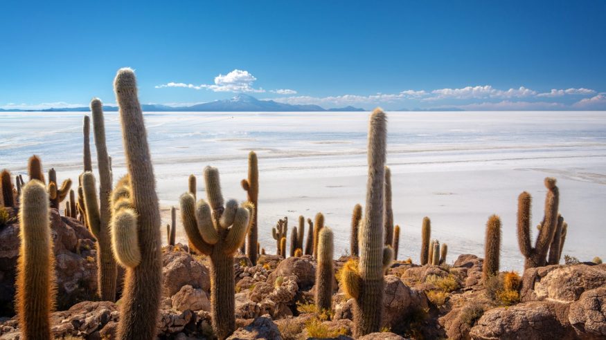 The Uyuni salt flats in Bolivia
