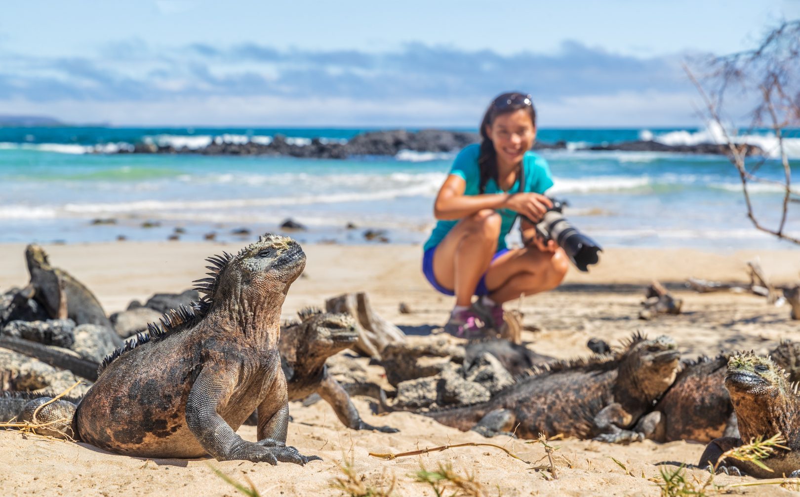 A traveler with marine iguanas in the Galapagos