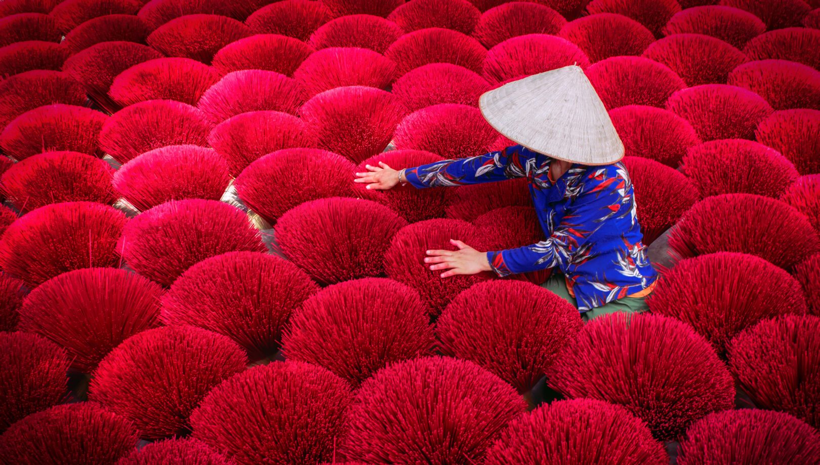 off the beaten path places to travel: Incense sticks drying outdoor with Vietnamese woman wearing conical hat in north of Vietnam