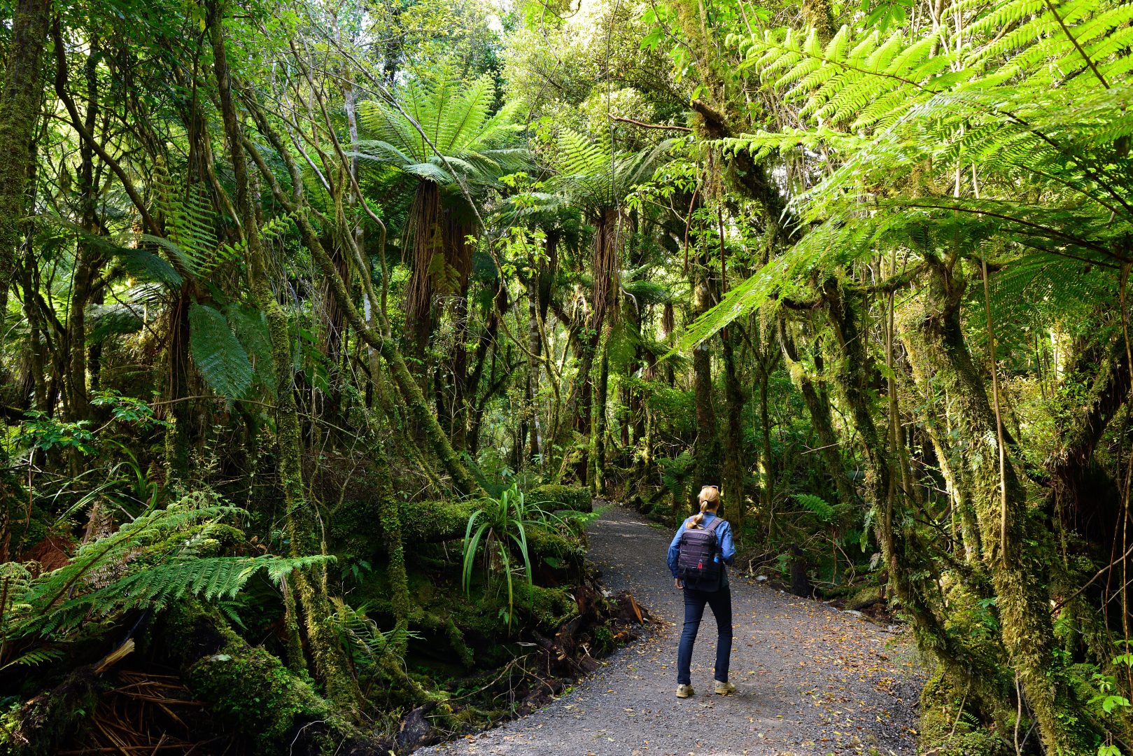Hiking in New Zealand