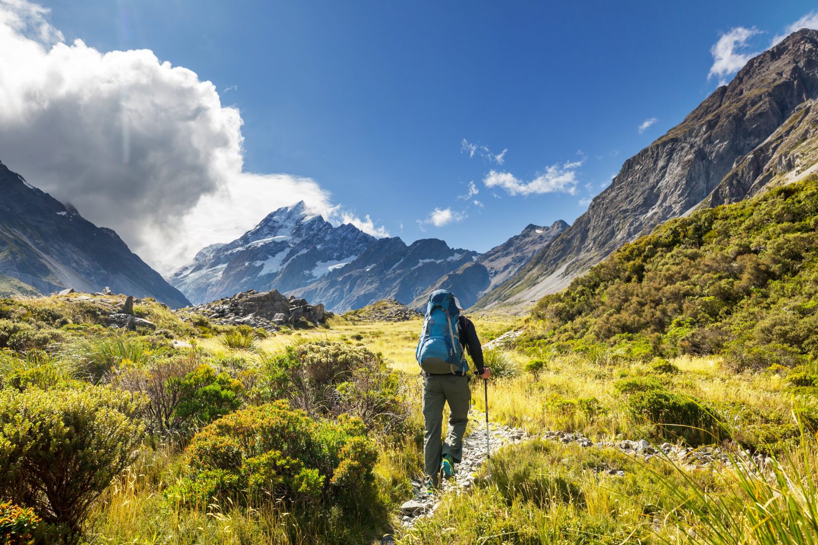 A traveler hiking in Mount Cook National Park in New Zealand