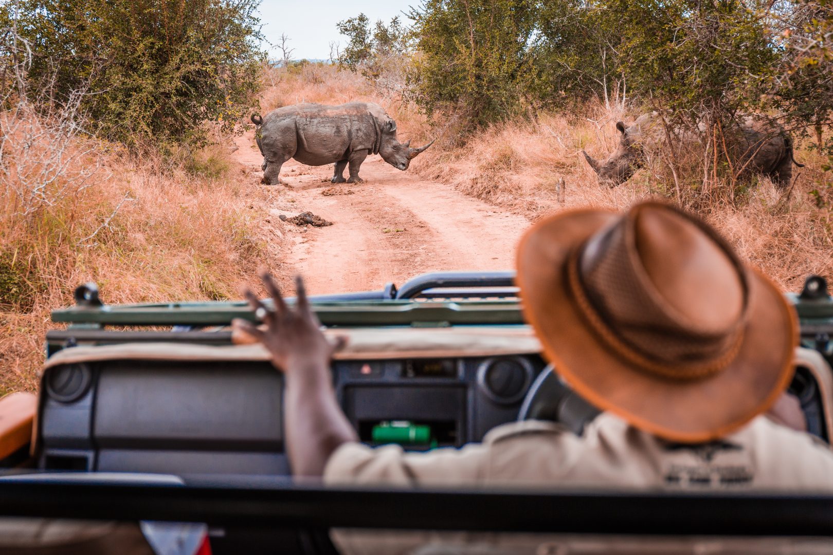 A guide on safari in Kenya