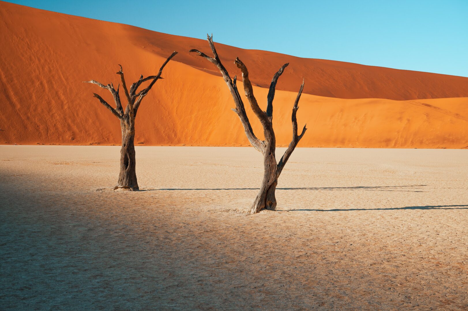 Ultimate Namibia in Style