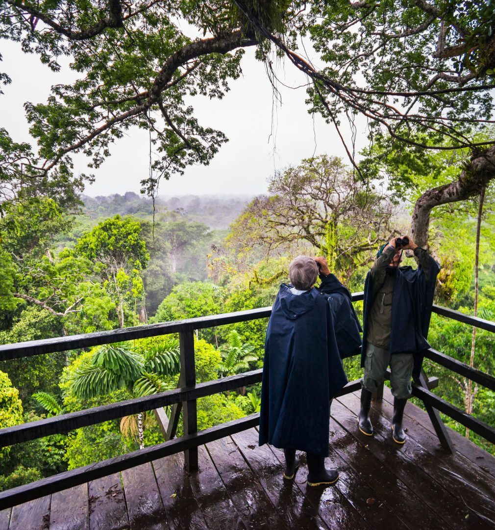 A tourist and a guide in the amazon Rainforest
