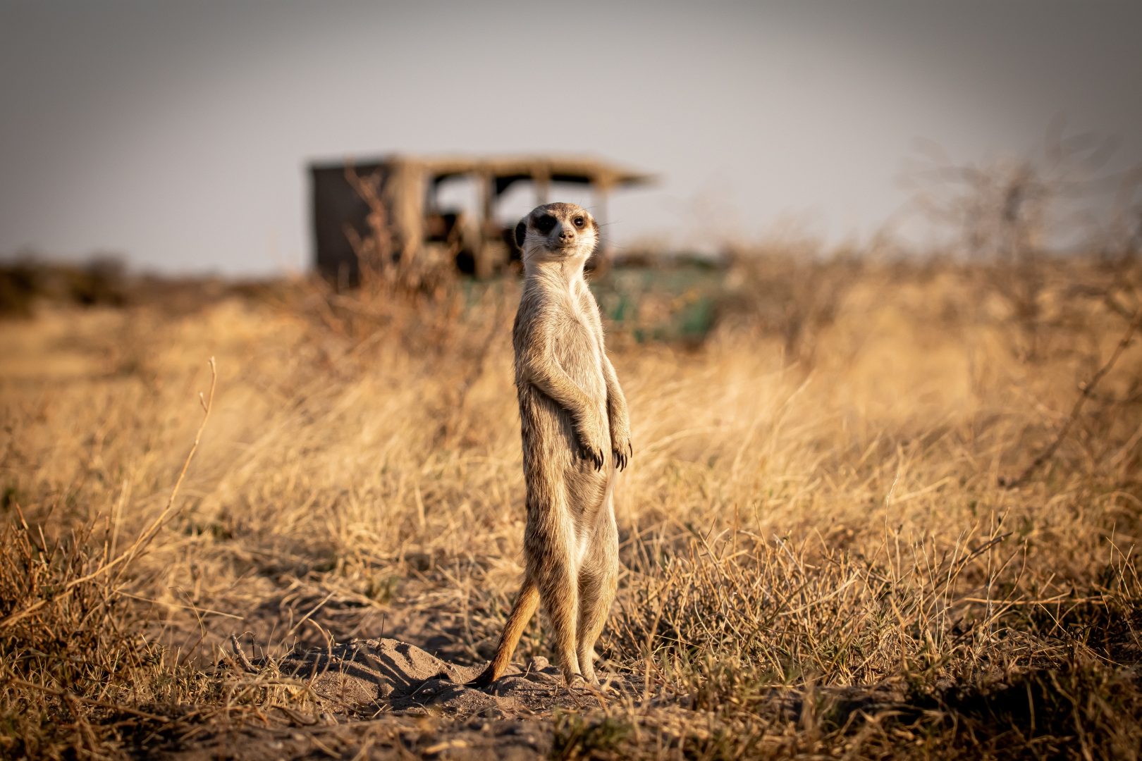 Botswana Off the Beaten Path
