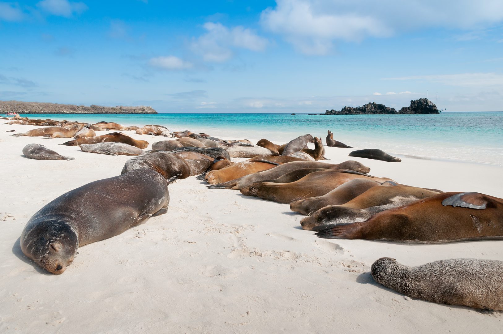 Galapagos Western Islands