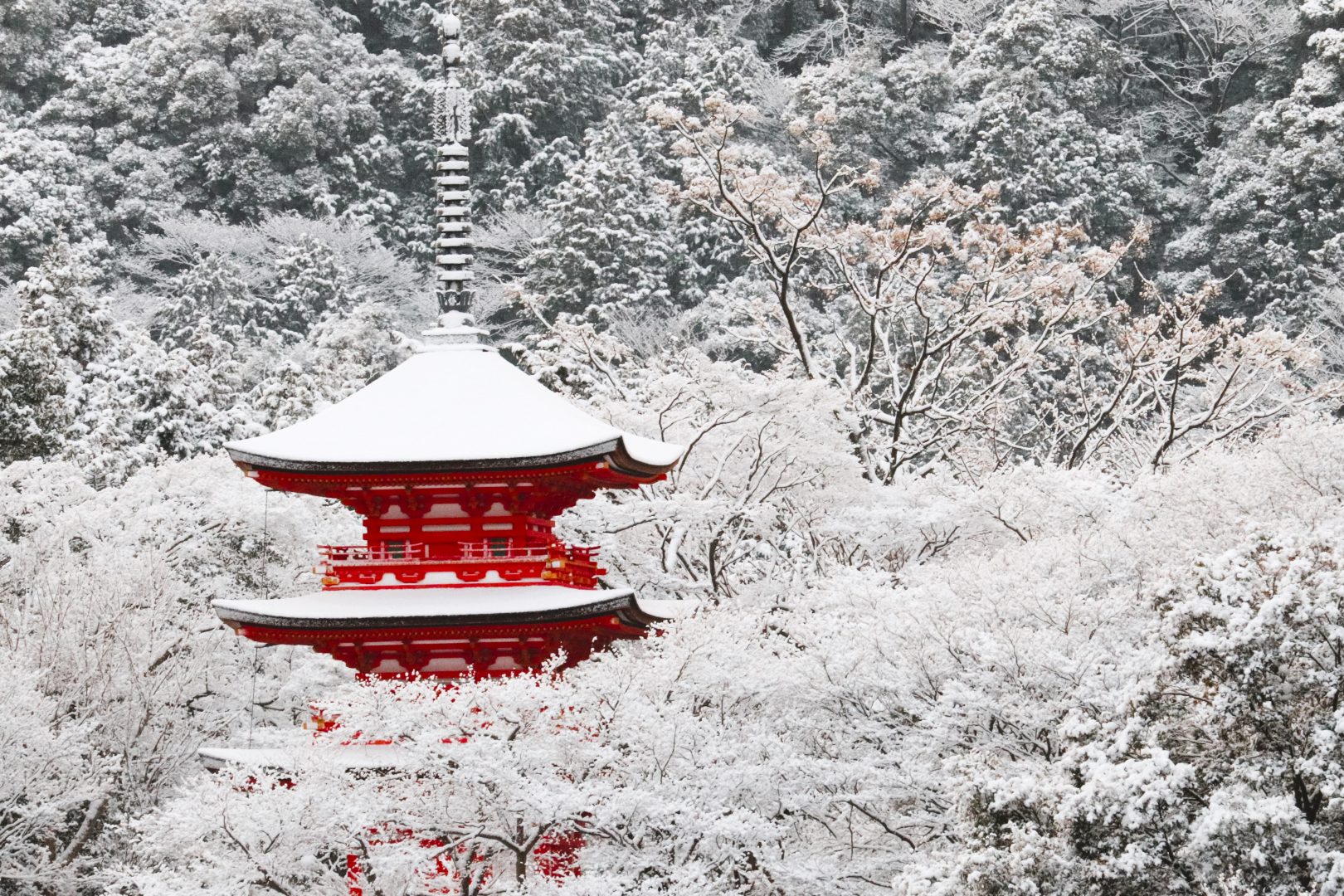 December in Kyoto, Japan
