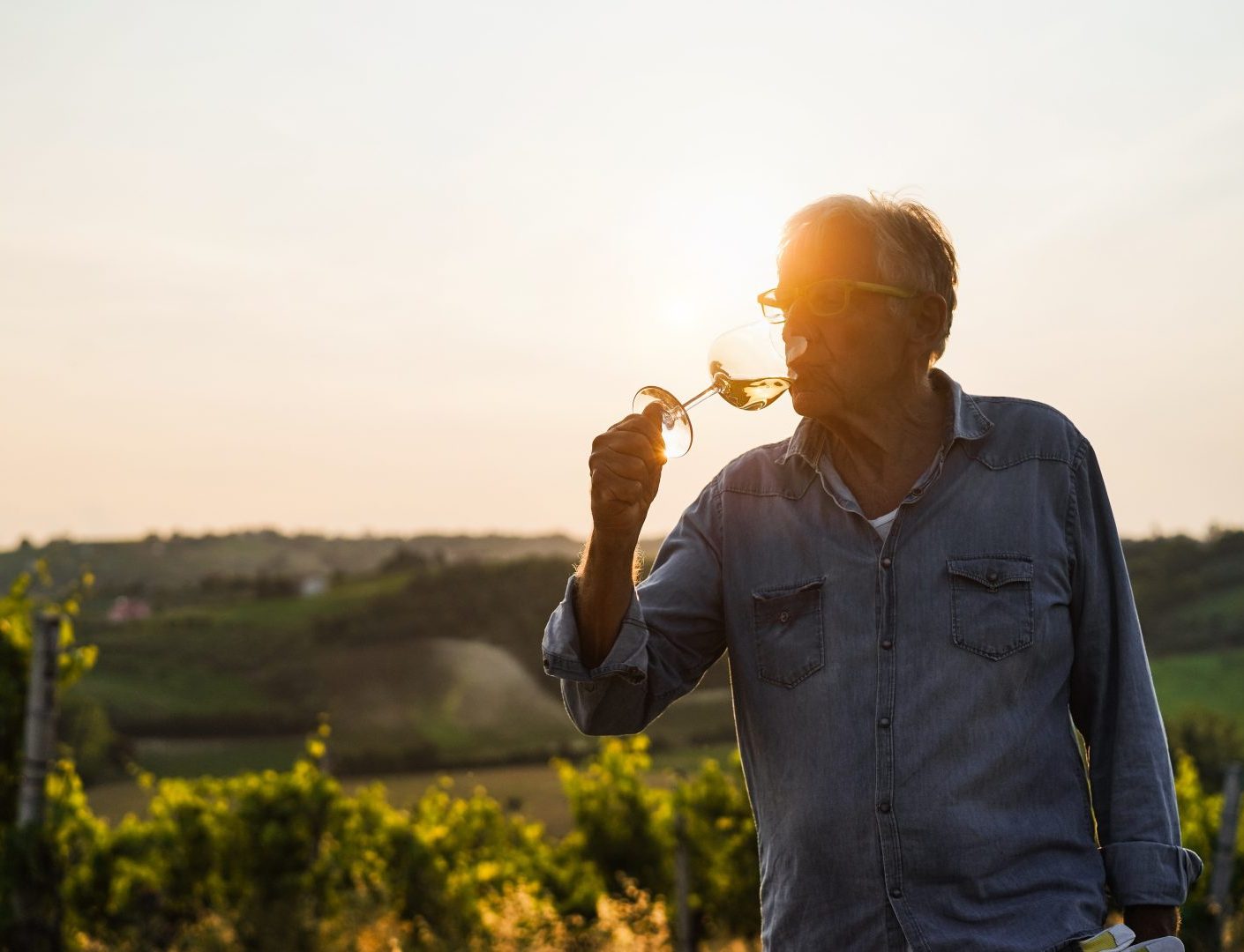 A man at A vineyard / winery in France
