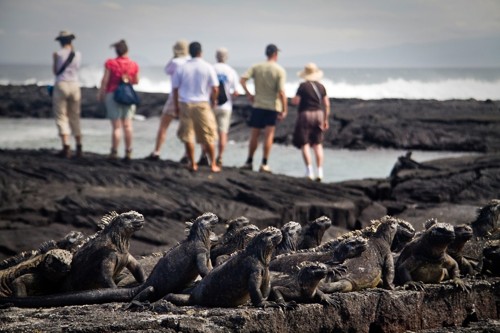 Tourists on Fernandina Island, Galapagos
