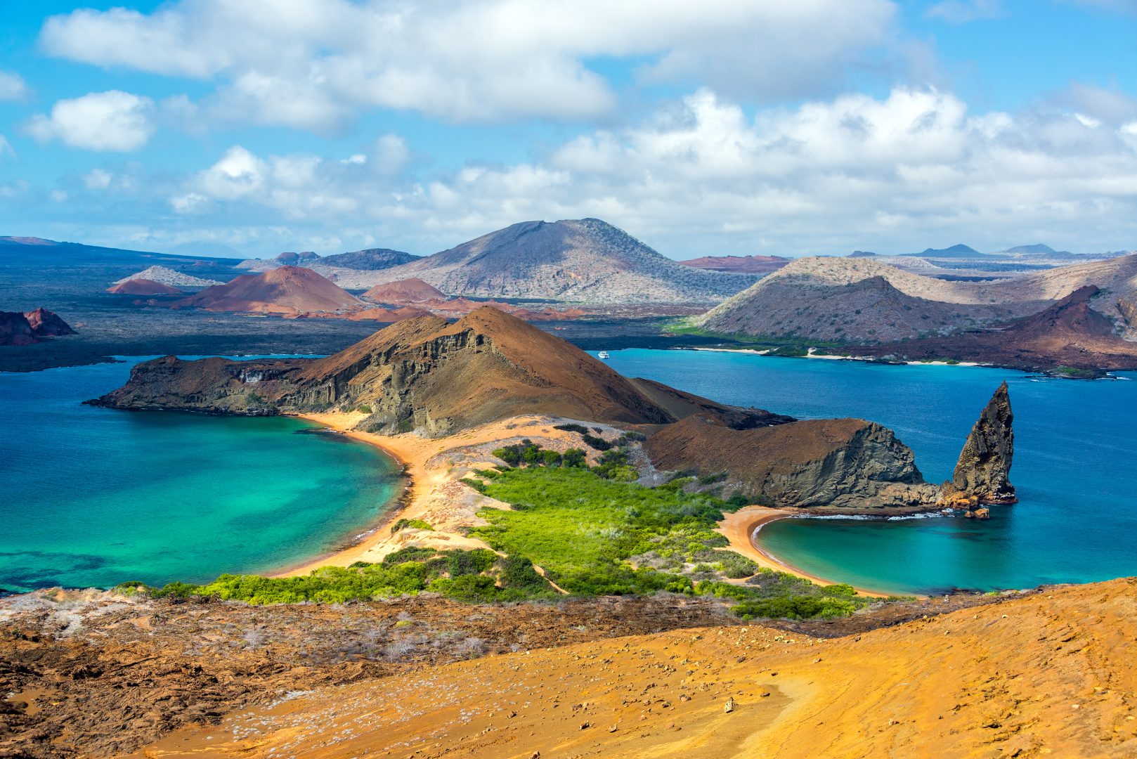 The Galapagos