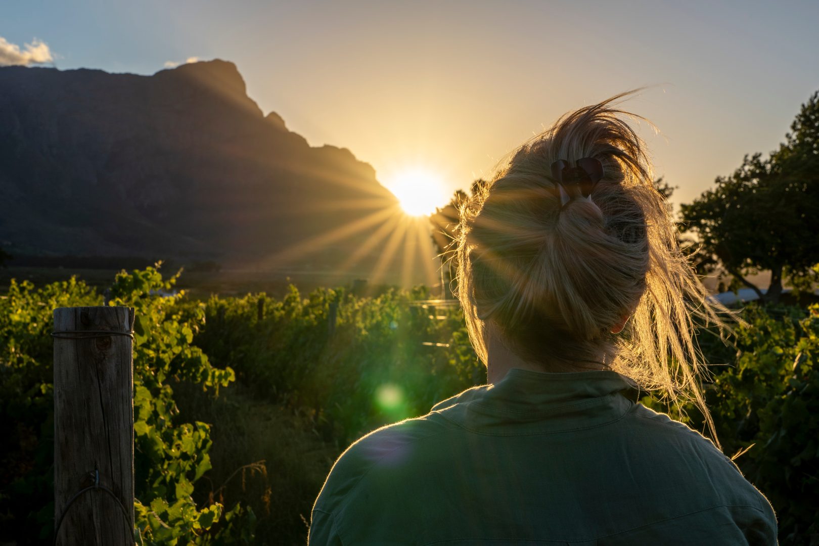 A guide at a vineyard in South Africa