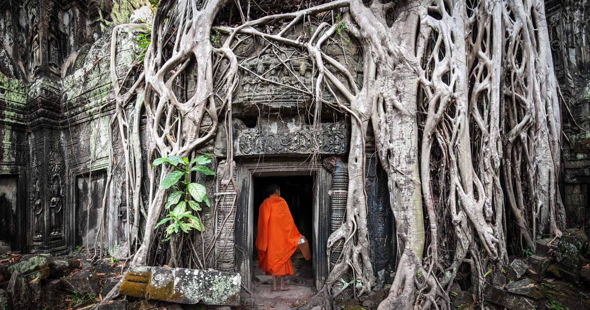 A monk in Angkor Wat, Cambodia