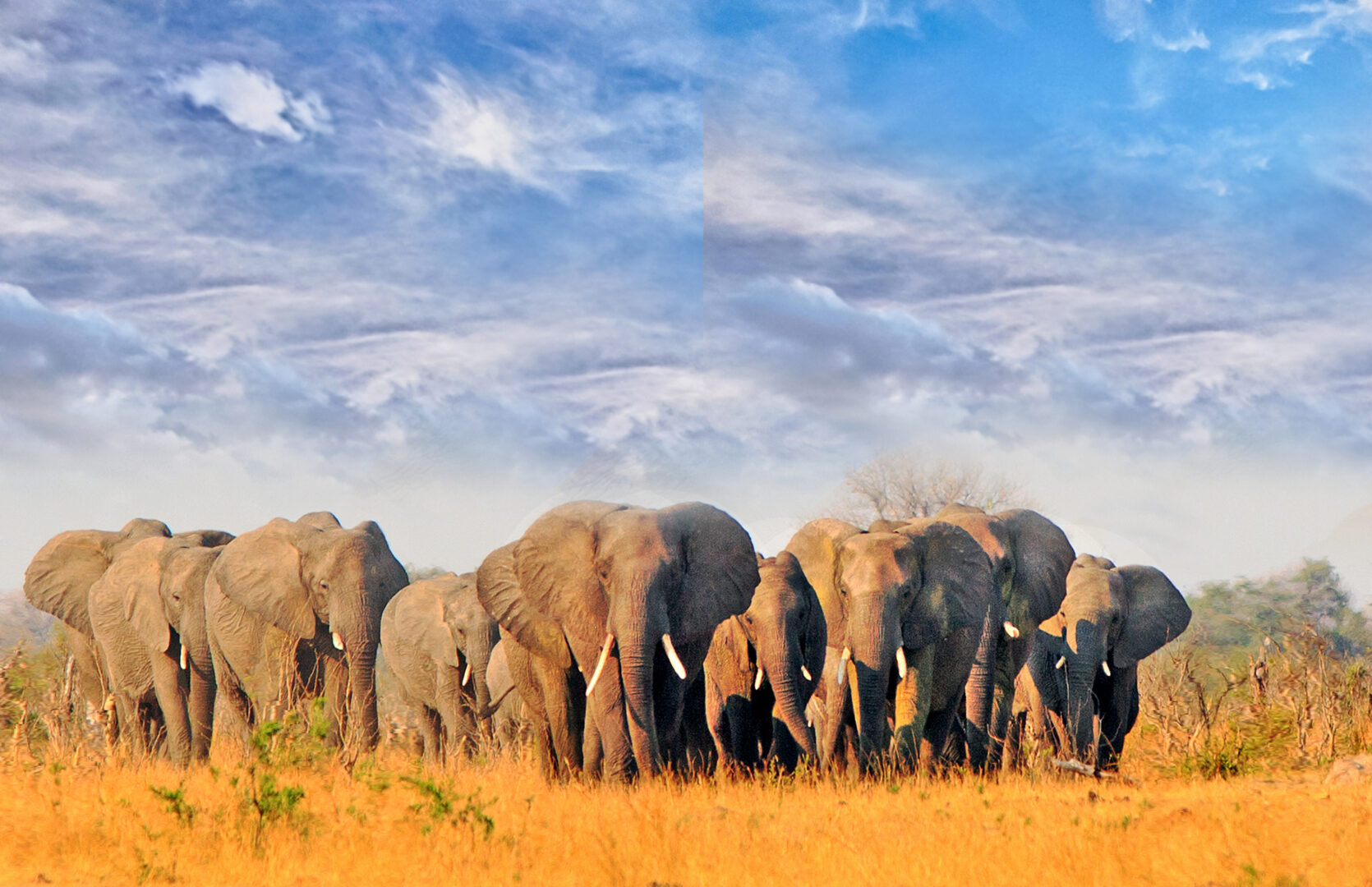 Tanzania Off The Beaten Path