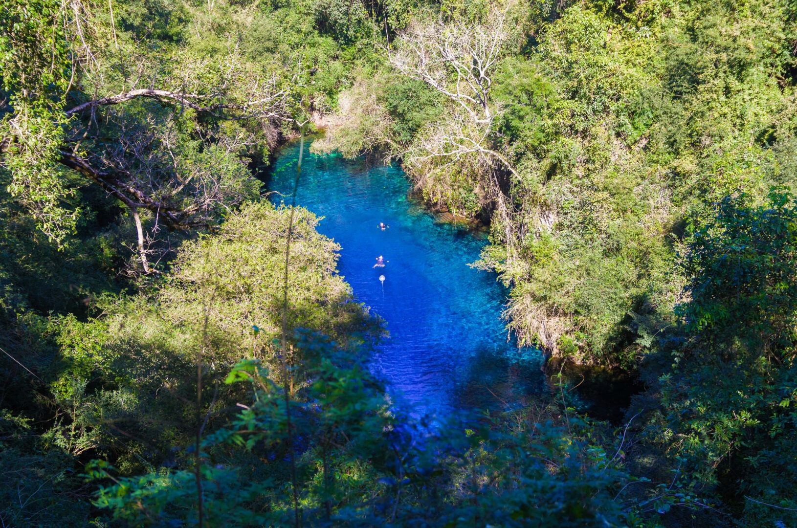 Iguazu Falls, the Pantanal, Bonito, and Rio