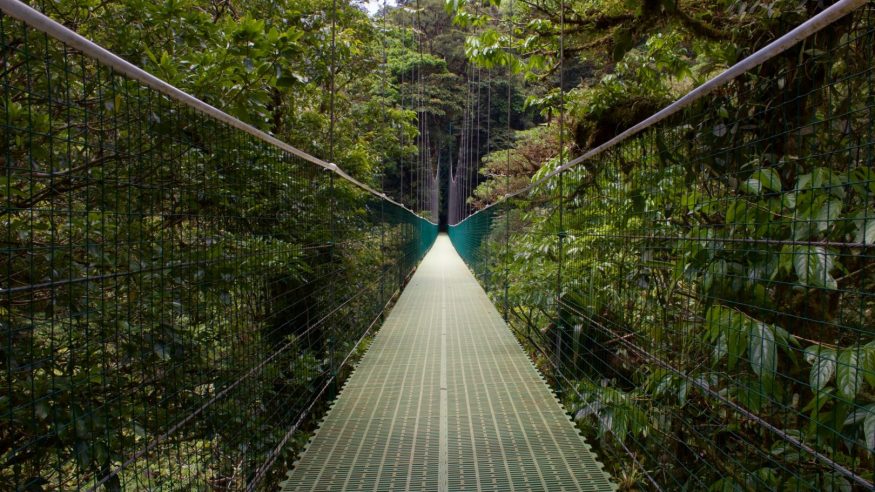 Costa Rica - Monteverde Hanging Bridges