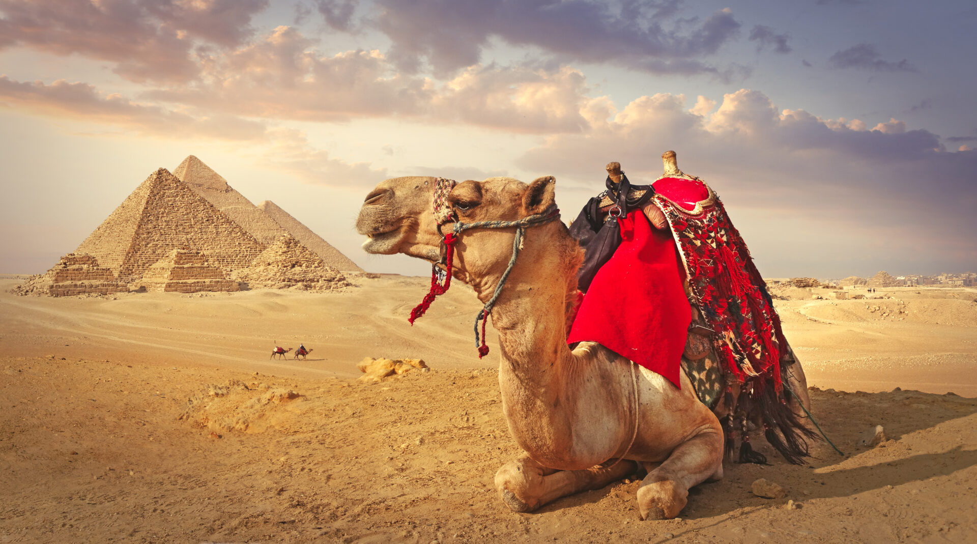 Highlights of Egypt