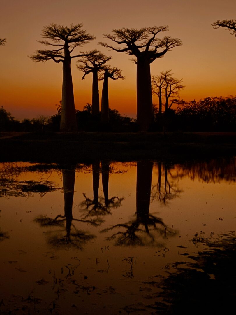 John Kardys Destination: Madagascar