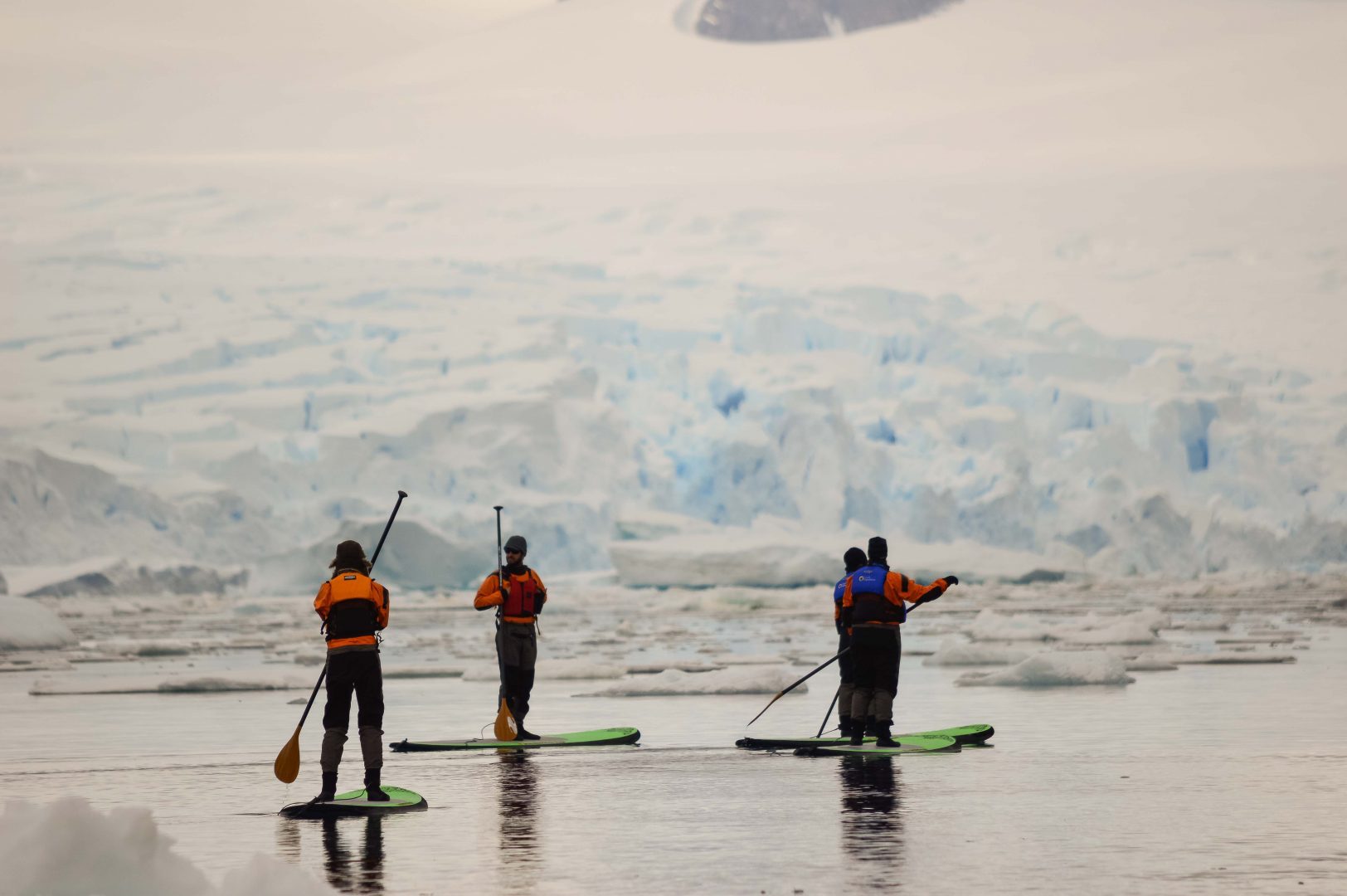 Antarctica Adventure Cruises