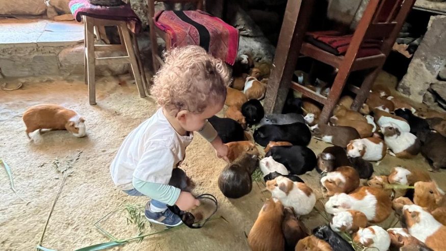 Toddler meeting cuys