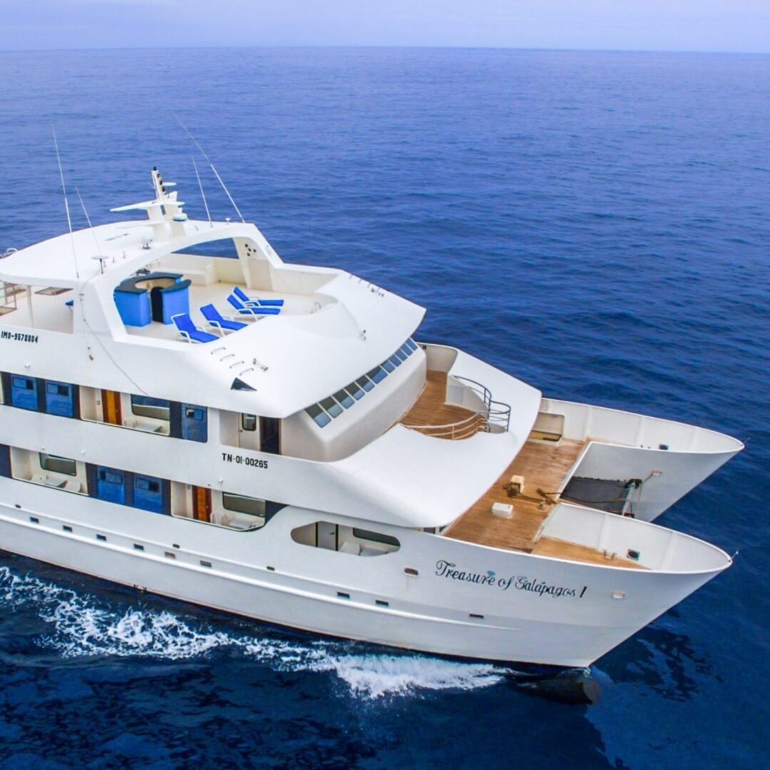 Treasure of Galapagos Vessel