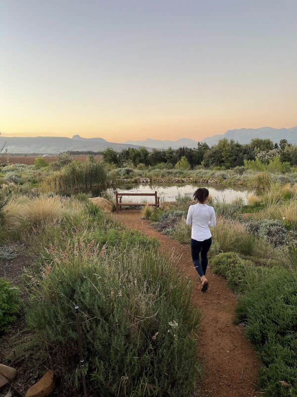 A woman walks along a dirt path at sunset in South Africa surrounded by tall grass, a pond, and greenery.