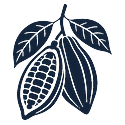 Brazil cacao pod icon for great food and drink