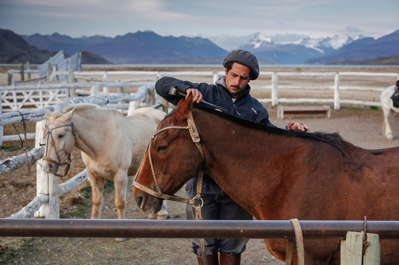 A gaucho and his horse at Estancia Cristina in Argentina