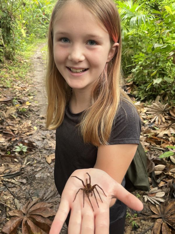 A young child holds a large wolf spider in her hand on a trip to the Galapagos Islands.