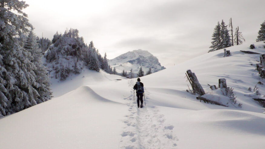 female hiker with snowshoes hiking in the Alps of Switzerland in pristine and idyllic nature wilderness