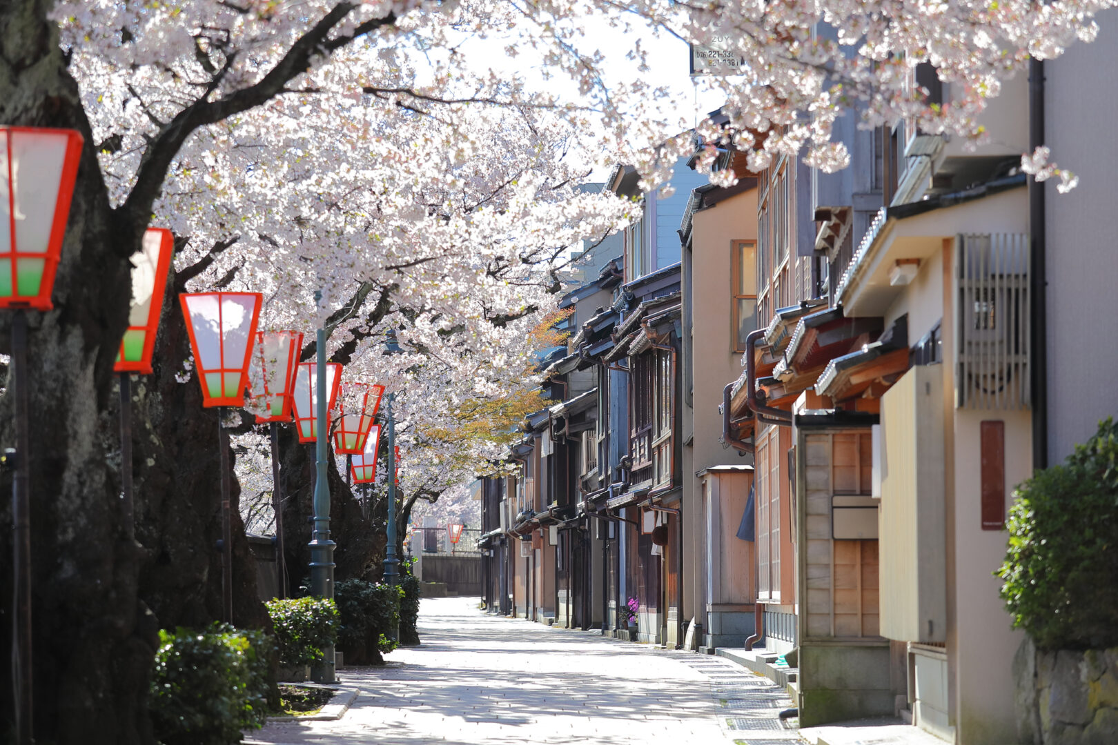 Japan In Depth 