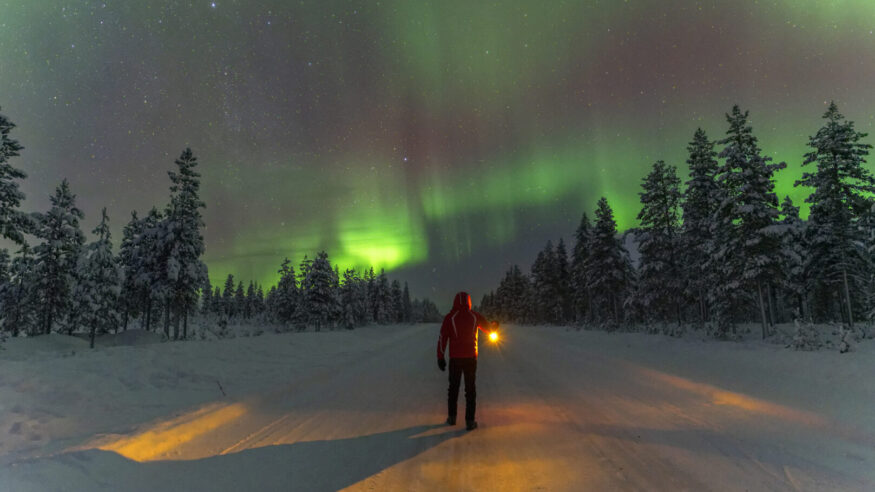 Man in red jacket standing in the middle of a snowy road with lantern in his hand watching northern lights, Lapland, Sweden.