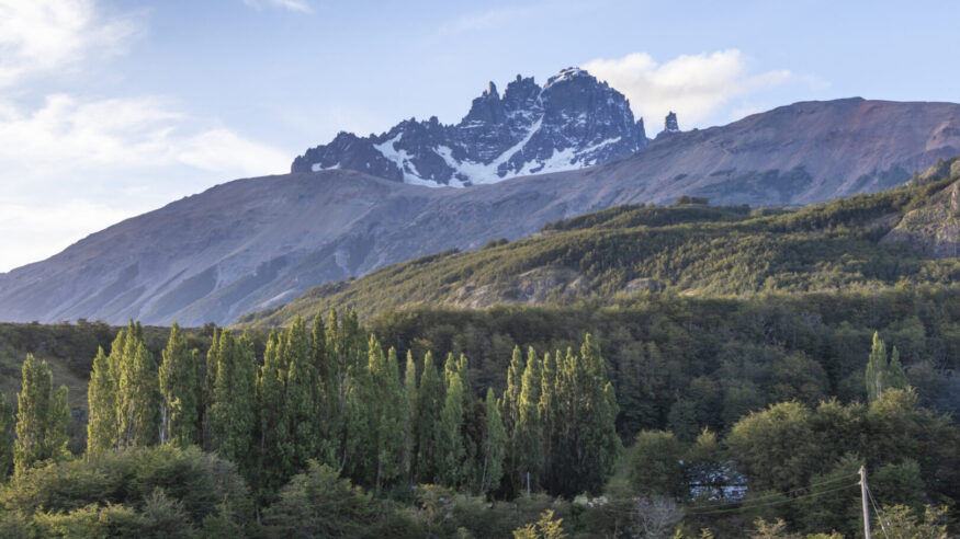 a sunny landscape, in the foreground green trees and lots of nature, in the background snowy mountains and a blue sky with white clouds