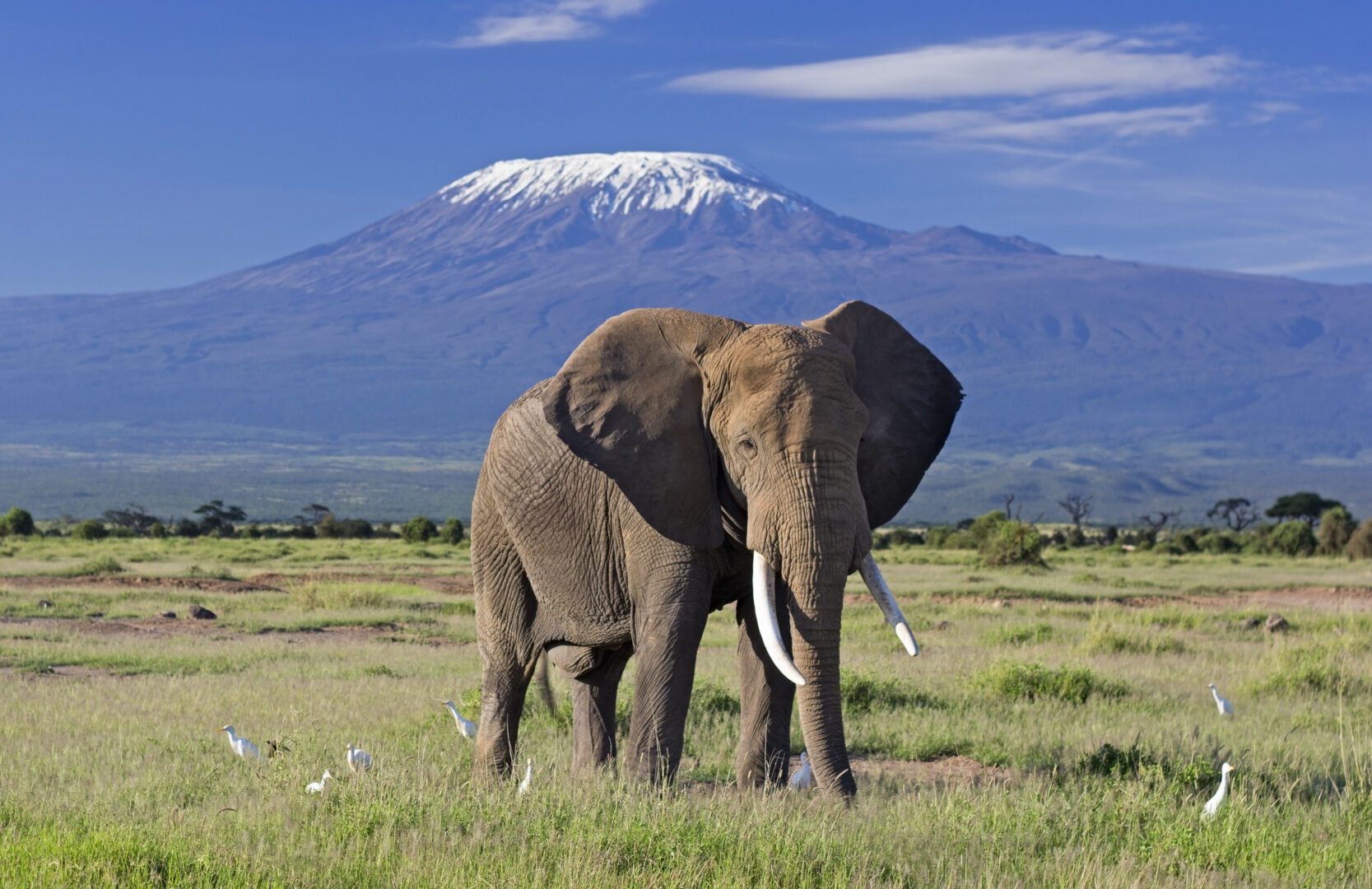 Kenya Discovery