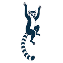 Madagascar responsible travel icon