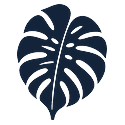 Monstera leaf for Brazil or tropical icon for responsible travel