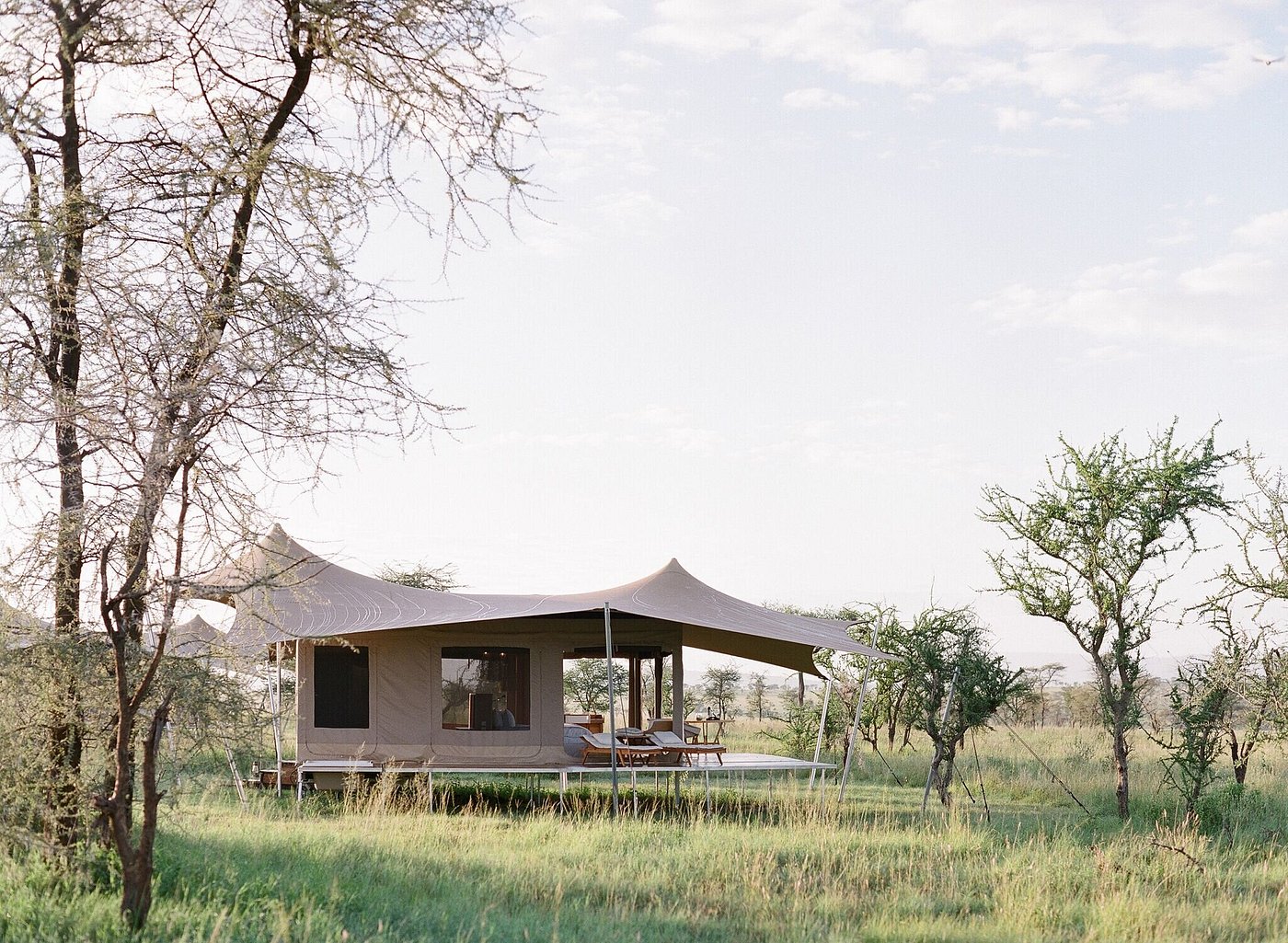 Roving Bushtops camp in Tanzania