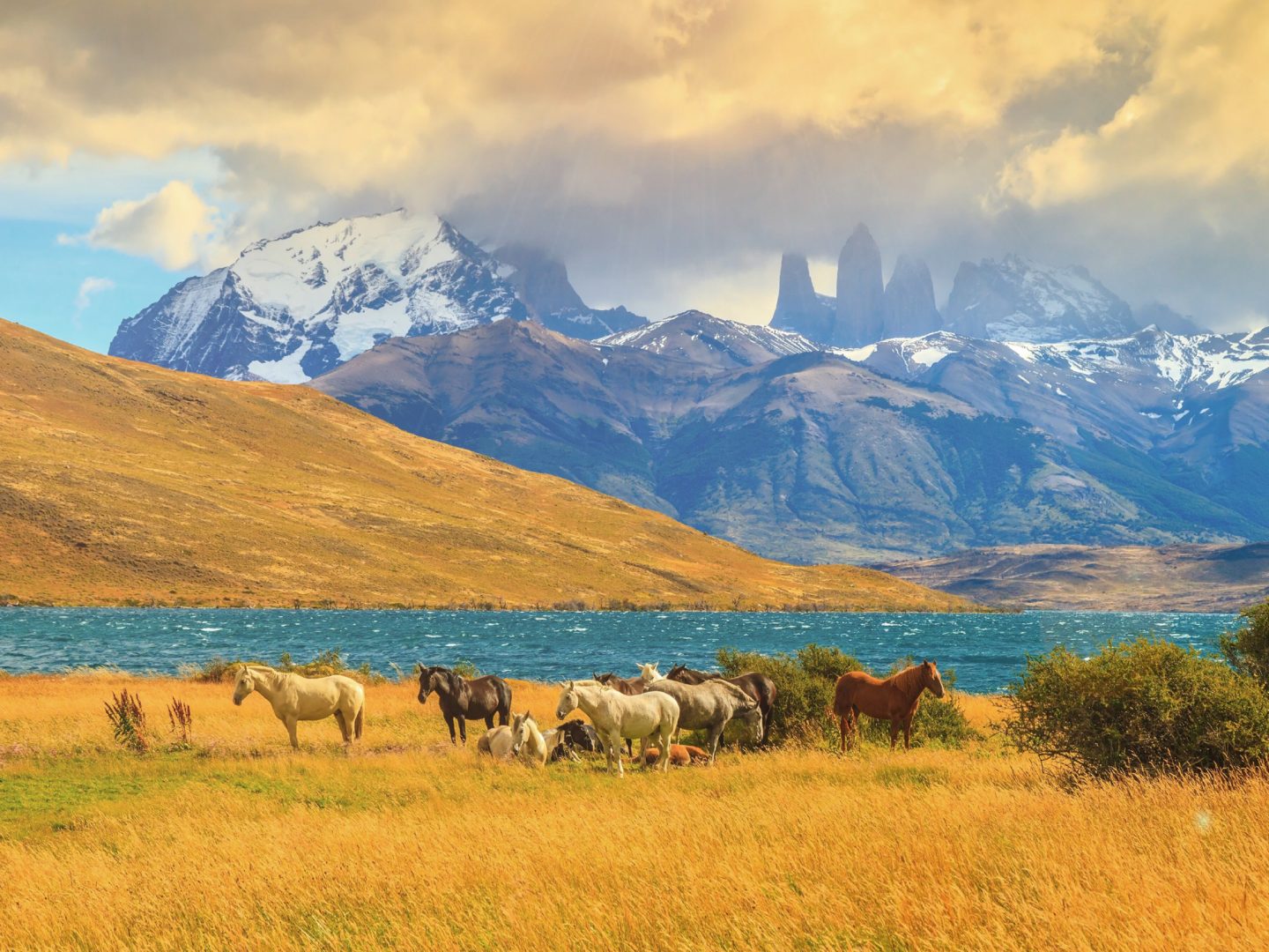 Santiago, Chilean Wine Country & Patagonia