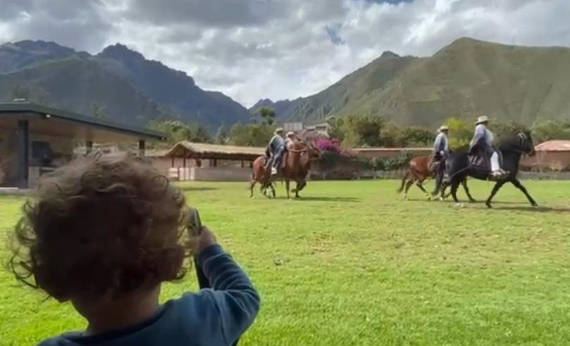 Watching Peruvian Paso horse demonstration