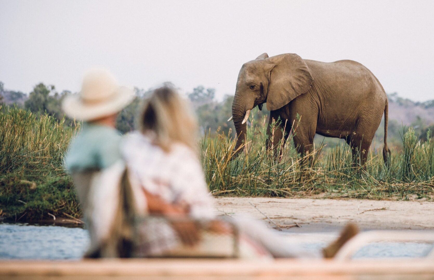 Going on safari in Zambia